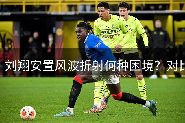 刘翔安置风波折射何种困境？对比姚明王励勤的启示